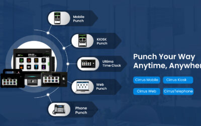 Punch Your Way. Anytime. Anywhere.